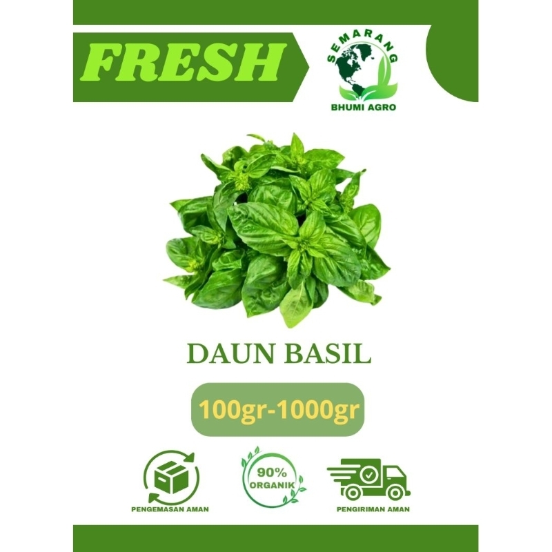 

Daun Basil Segar & Organik | BHUMI AGRO