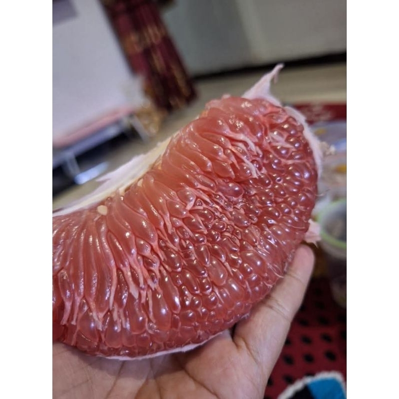 

PAKET PREMIUM GRADE AA+ JERUK PAMELO MADU MURIA BERAT 2kg-2,3kg ISI 10 BUAH + BONUS 2 BUAH
