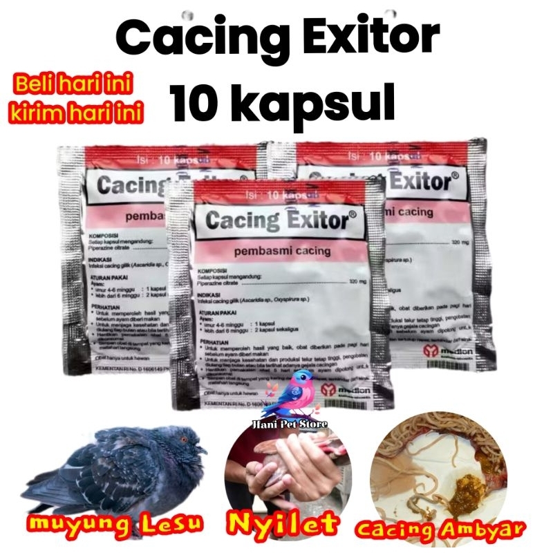 OBAT CACING BURUNG CACING EXITOR ISI 10 KAPSUL OBAT BURUNG MERPATI AYAM SAKIT BURUNG CACINGAN UNGGAS