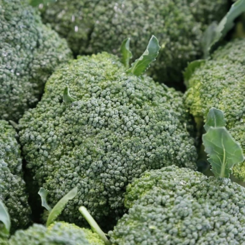 

Brokoli hijau fresh 500gr