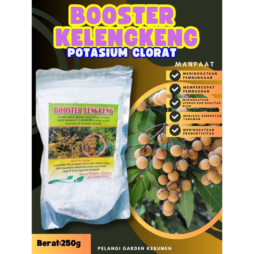 PROMO  Booster Buah Kelengkeng Merah, Booster Buah Kelengkeng Matalada Berbuah, Booster Buah Kelengk