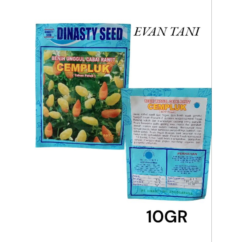 

Cempluk 10gr Cabai Rawit Setan Tahan Patek Dinasty