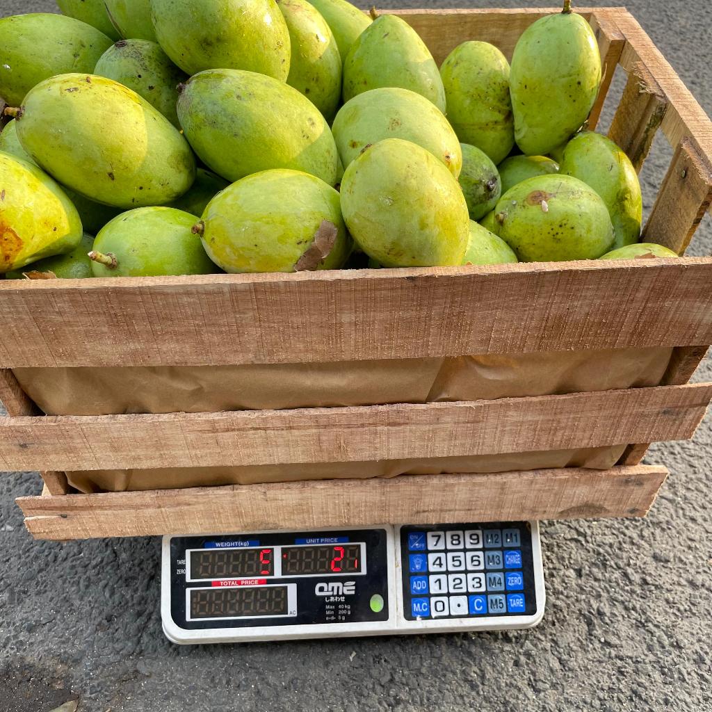 

mangga indramayu 1 peti kecil 5kg seger