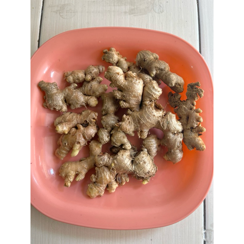 

Jahe Emprit 250gr sudah di Cuci