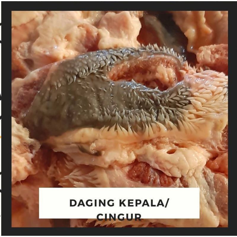 

Daging Kepala Sapi