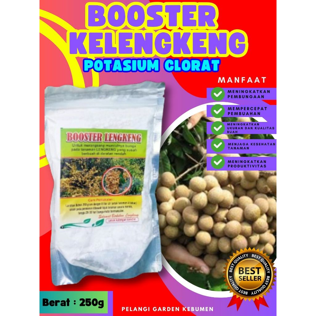 PROMO  Pupuk Buah Kelengkeng Murni 1Kg, Pupuk Buah Kelengkeng Merah