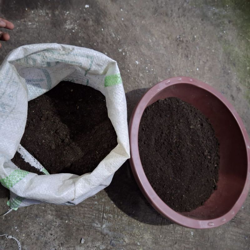 Media Tanam Siap Pakai 5 Kg