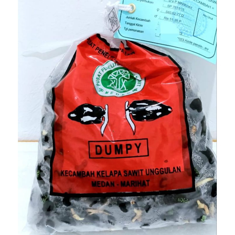 

KECAMBAH SAWIT PANCUR BATU (DUMPY)