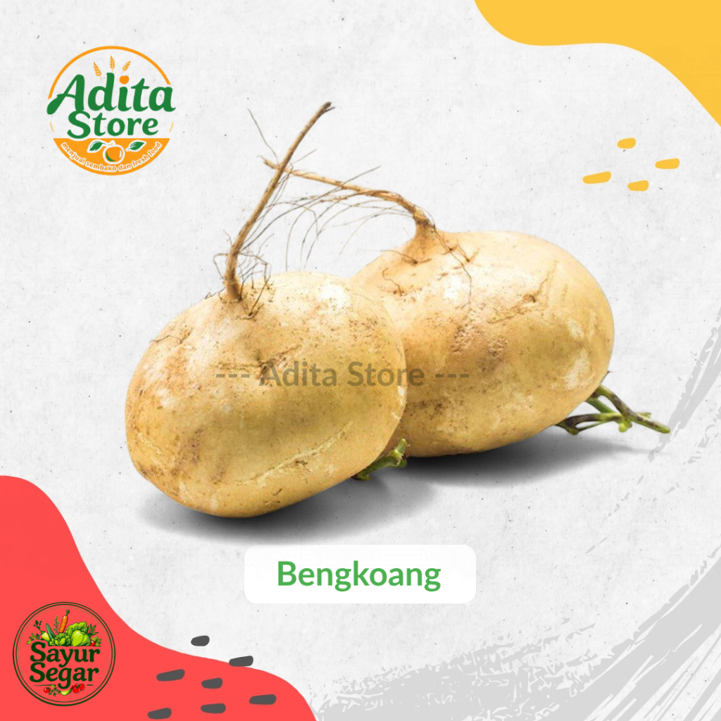 

Buah Bengkoang Segar Harga Ekonomis