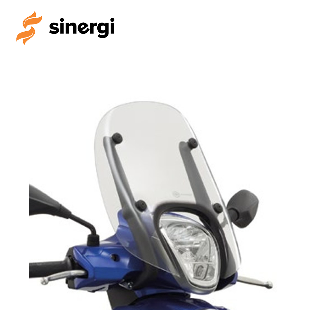 Flyscreen for Piaggio Medley