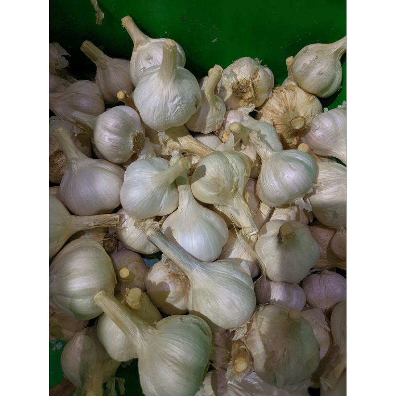 

BAWANG PUTIH KATING