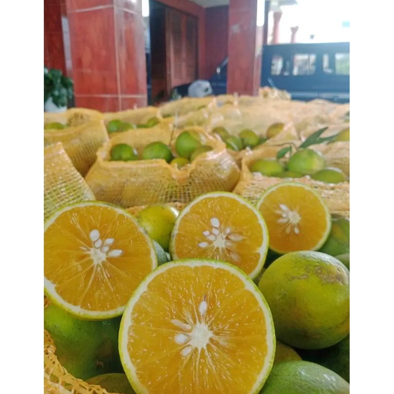 

jeruk baby java 500gram