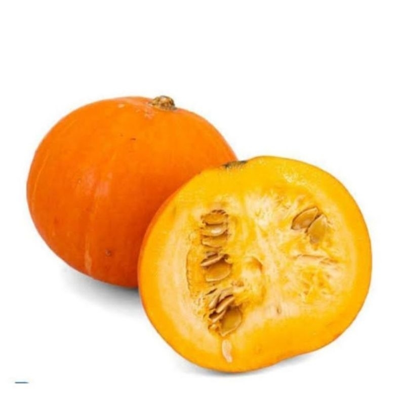 

Benih Labu Kabocha Merah KAGUM F1 – Hibrida Unggulan Bintang Asia, Manis & Produktif