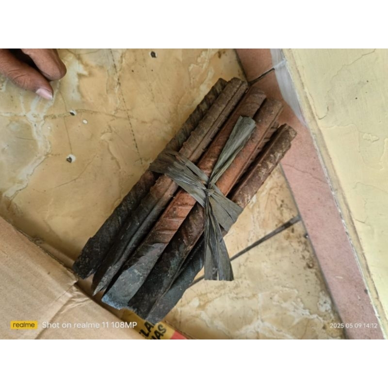 Betel Baja ulir / Betal tembok / Betel Rumah 22cm