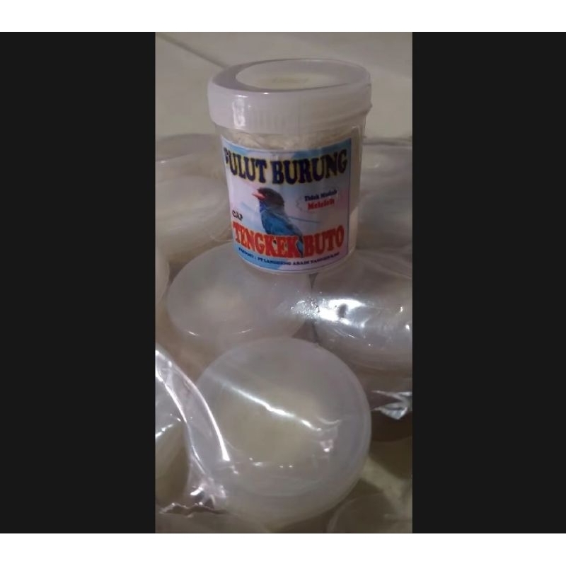 BISA CODlem burung pulut burung getah bendo getah karet alat jebak burung || Makanan Burung || BURUN