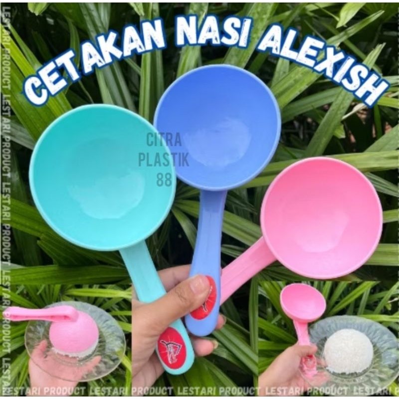 Centong nasi plastik/sendok nasi plastik/sendok nasi padang/centong batok kelapa