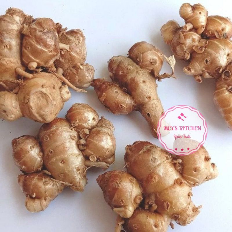 

Bumbu Dapur Kencur Segar Cikur Segar | 500 Gram