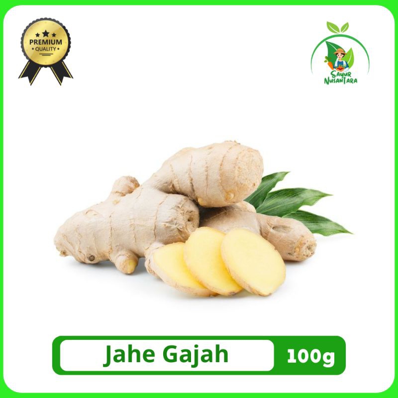 

Jahe Gajah [100g/250g] FRESH ORIGINAL