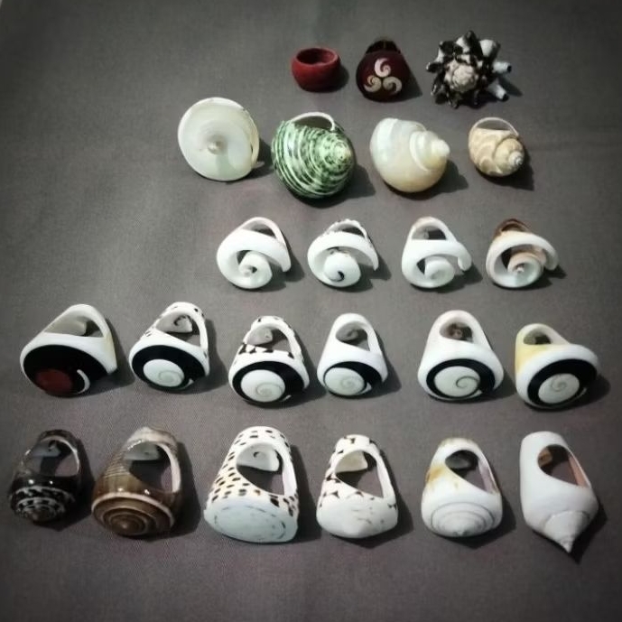 Cincin cangkang kerang laut aesthetic