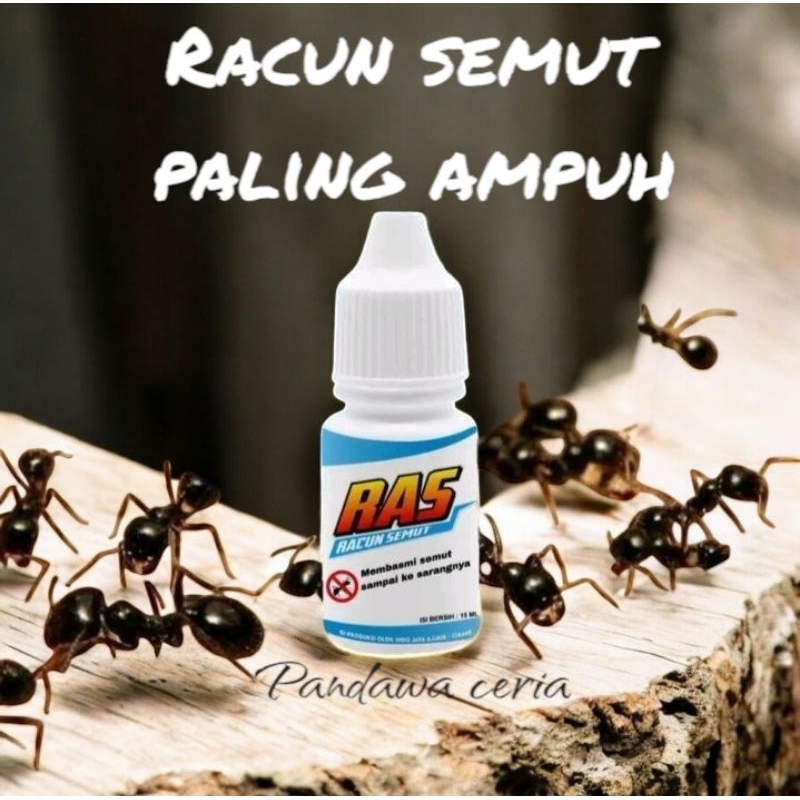 RACUN SERANGGA SEMUT MERAH/HITAM DI JAMIN PALING AMPUH