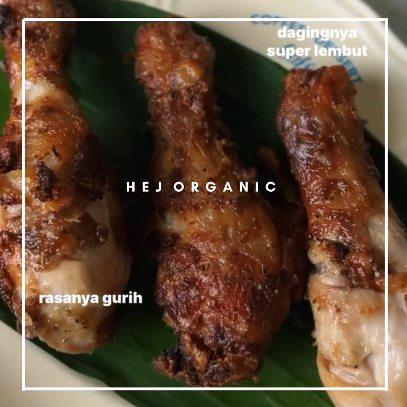 

Ayam Organik Bumbu Rempah Egg Free Dairy Free Lauk Pauk Padat Nutrisi Finger Food