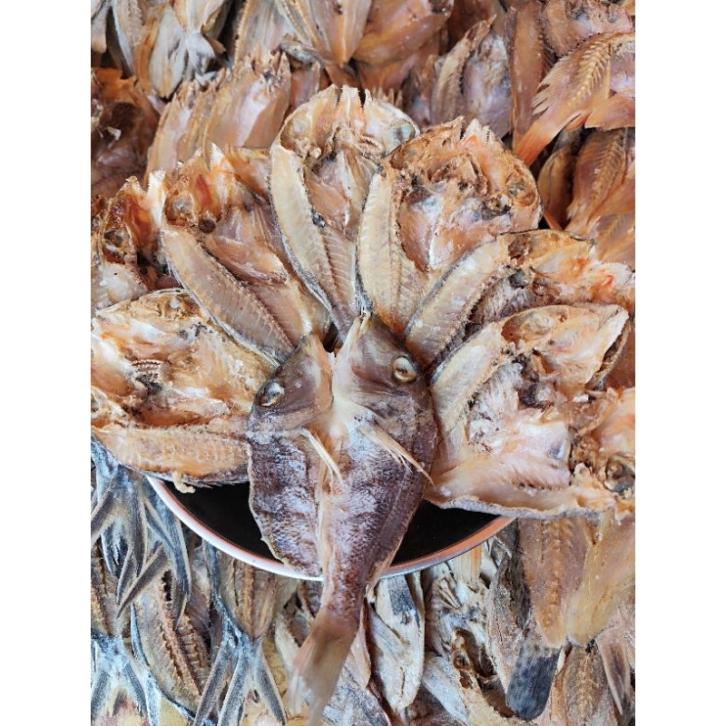

IKAN KATAMBA (KAKAP) 250GRAM