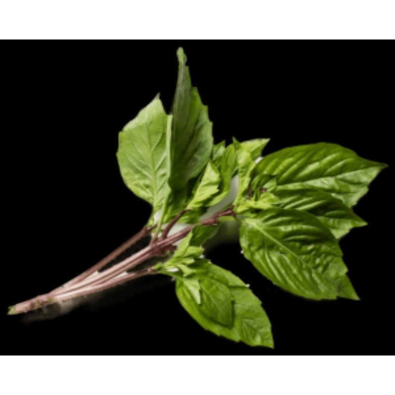 

JYOTI DAUN BASIL THAI 100 GR