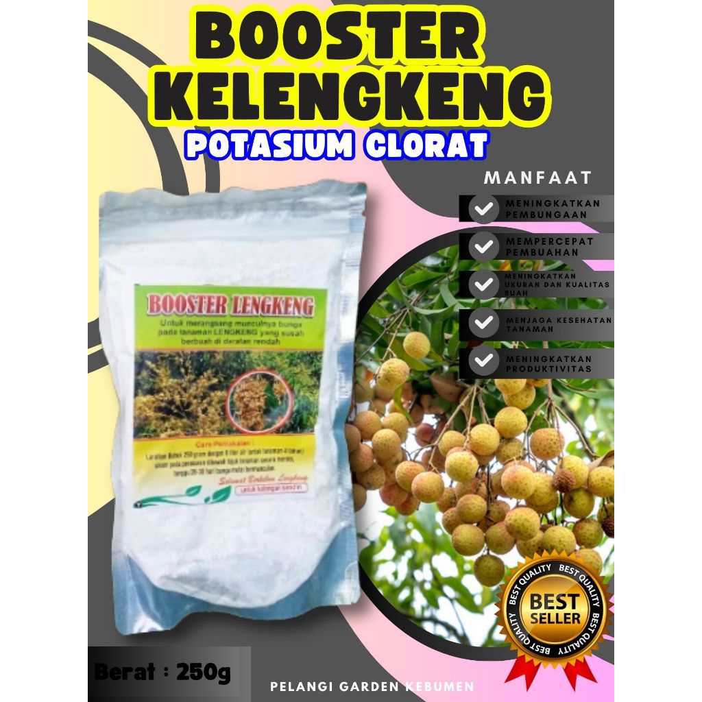 TERLARIS  Booster Kelengkeng Okulasi, Booster Kelengkeng Potasium250 gram