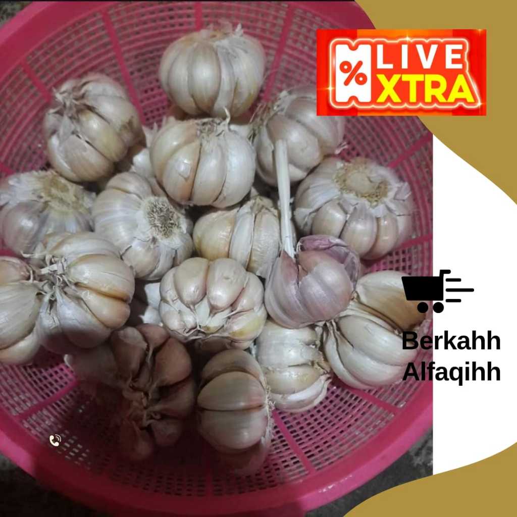 

Bawang Putih / Bawang Putih Lokal 250gr 500 gr 1 kg