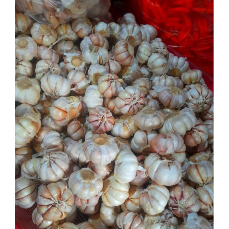 

Bawang Putih lokal super / Bawang lokal
