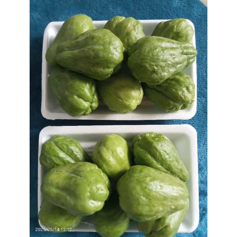 

labubeby/jipang kecil