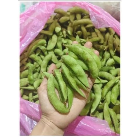 

kacang edamame 1 kg