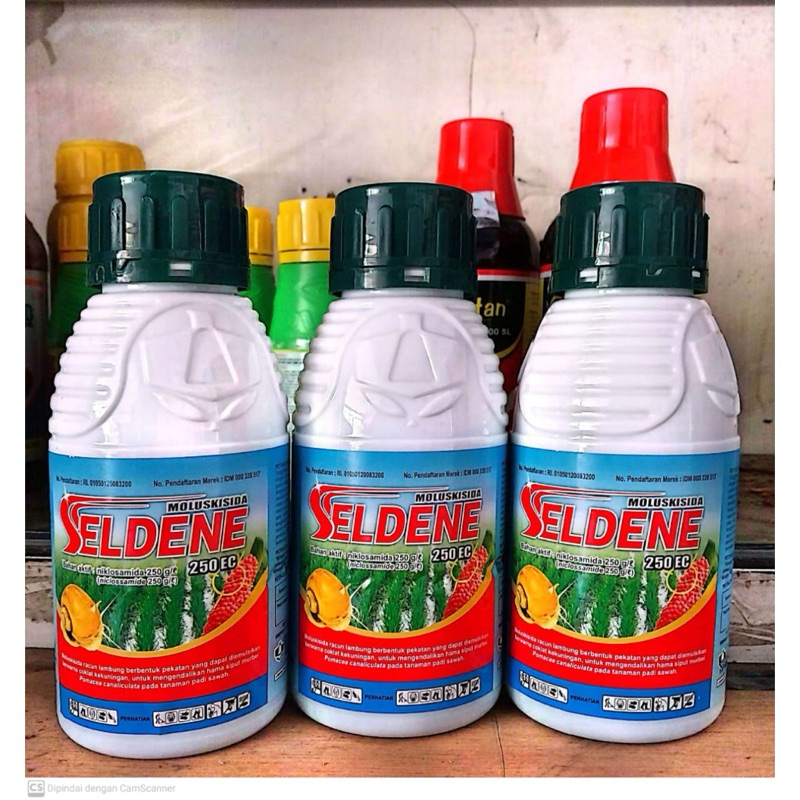 Grosir Obat Keong Cair Seldene 250 EC / niklosamida 250g - obat keong sawah Cair