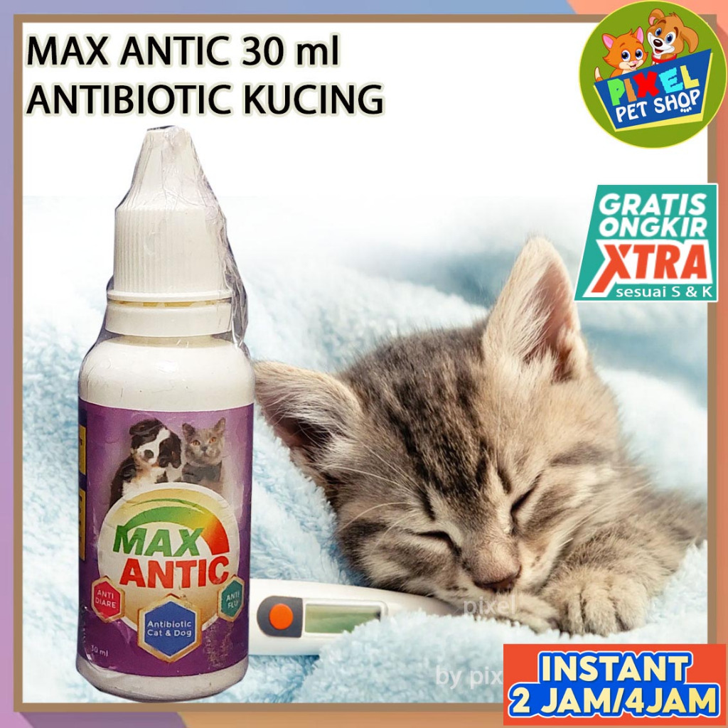 Obat Antibiotik kucing untuk diare dan flu saluran pernapasan kucing antibiotic Max Antic 30 ml