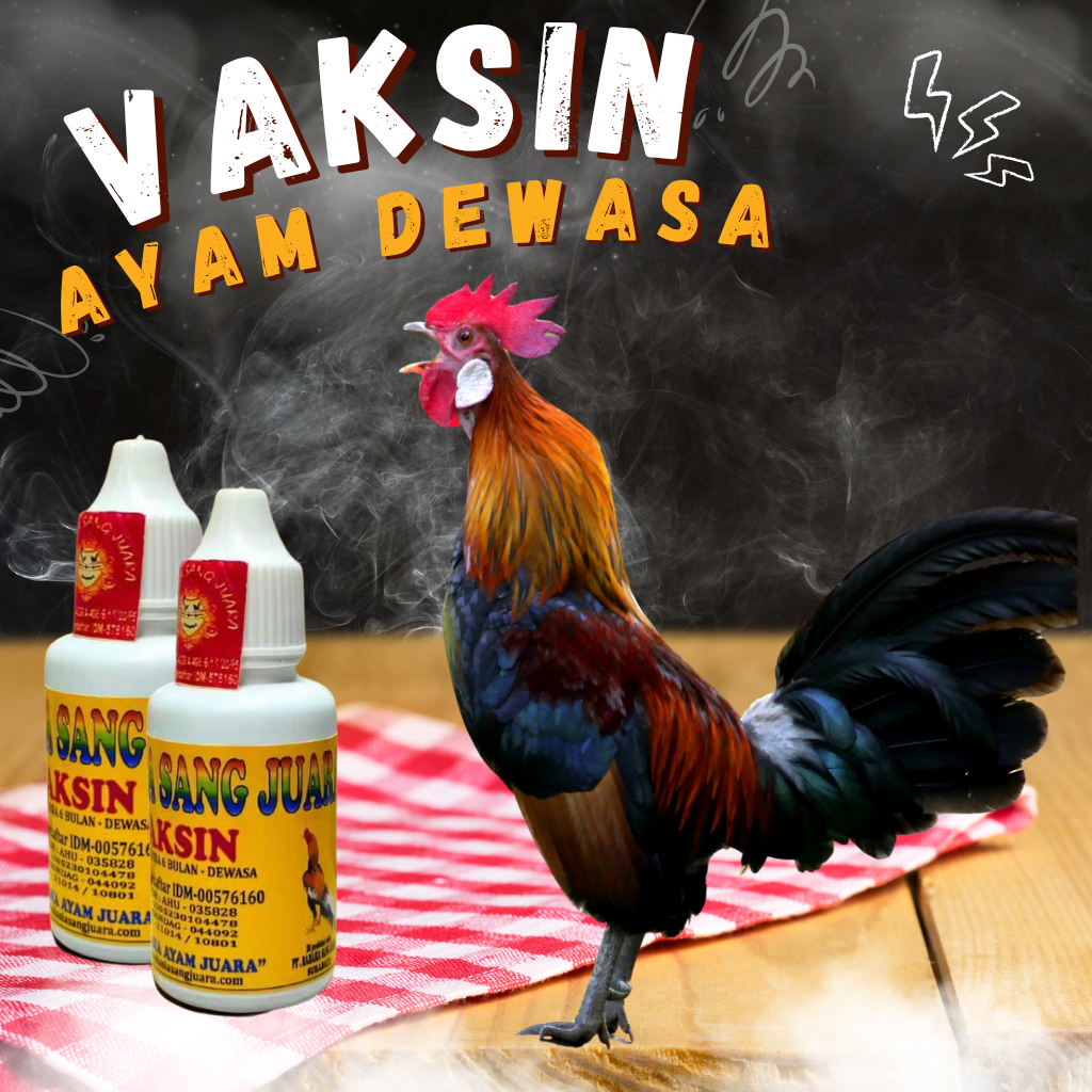 Vaksin Ayam Bangkok Usia 6 Bulan (DEWASA) 30ml