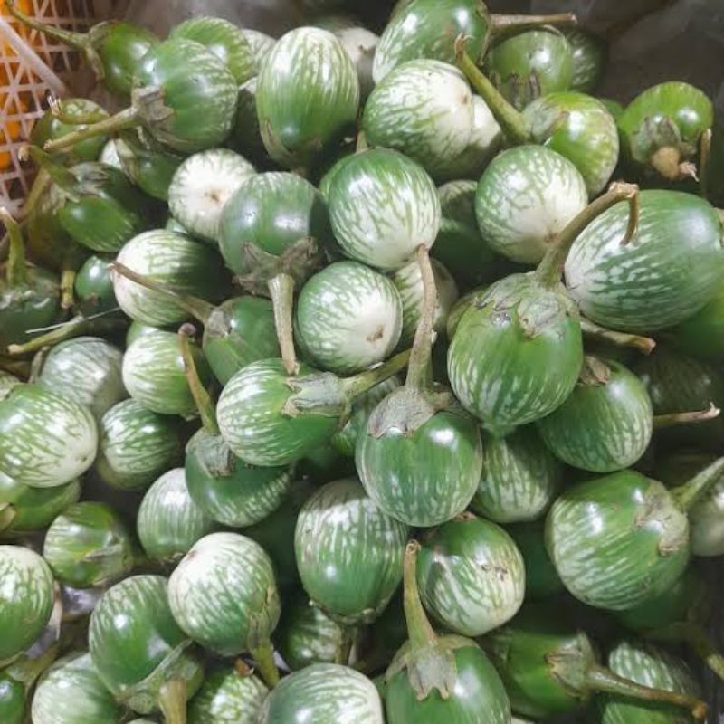 

Terong Lalap Hijau 500 gram