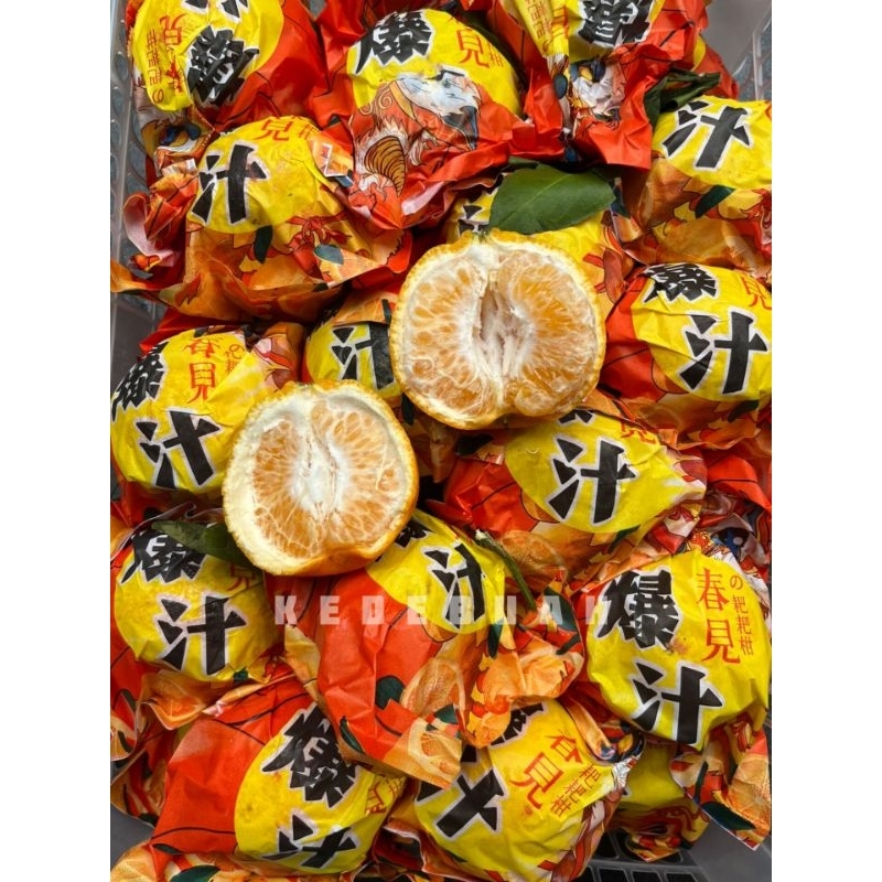 

Jeruk Chunjian 1 kg