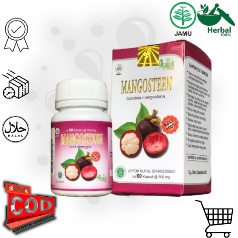 Mangosteen - Kapsul Kulit Manggis Inayah