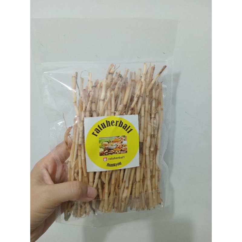 

AKAR ALANG ALANG KERING ALAMI