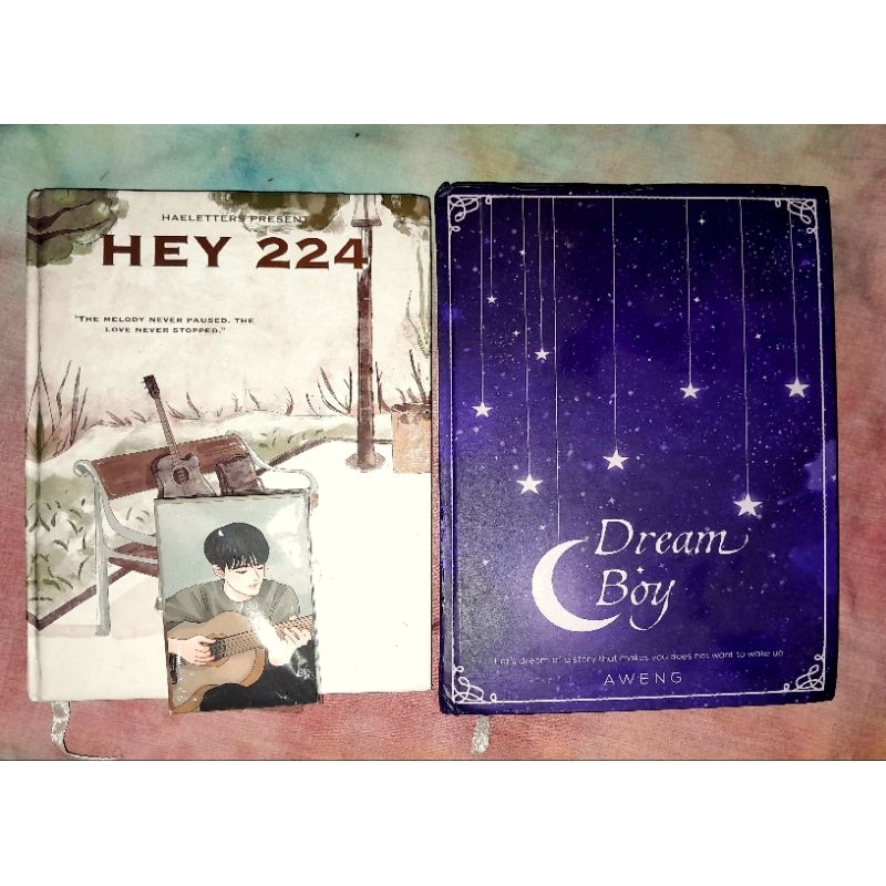 

novel hey 224 nomin