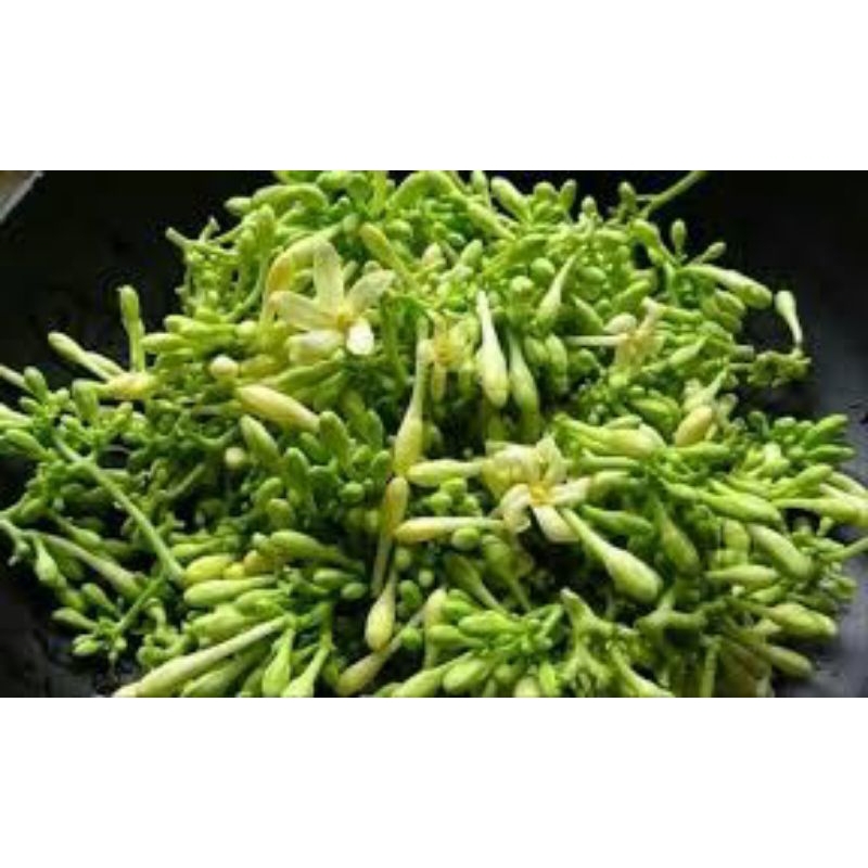

bunga pepaya segar baru petik .1kg