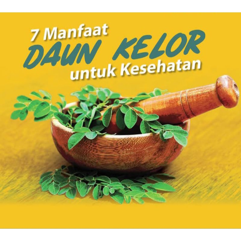 

(1KG) daun kelor fresh,daun segar petik langsung dari pohon herbal 1kg bisa COD