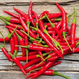 

Cabe Buah Seger Penuh Vitamin