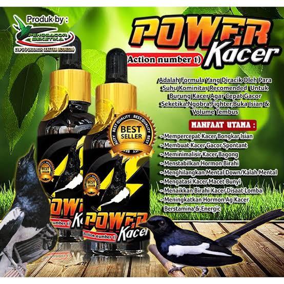 POWER KACER STRONG VITAMIN POWER KACER BMW PANGGACOR BURUNG KACER LOMBA DAN HARIAN