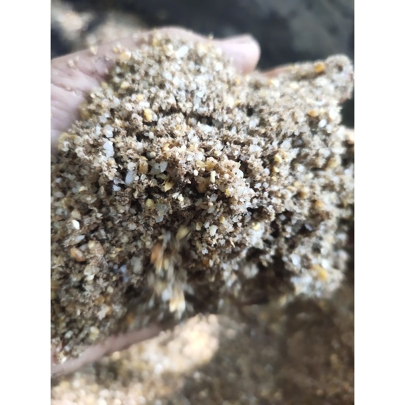 MAKRIFATBUSINESS Paket 2 Kg PAKAN AYAM PEMBESAR DOC  Fermentasi Kering Beras Jagung Menir Beras Ampa