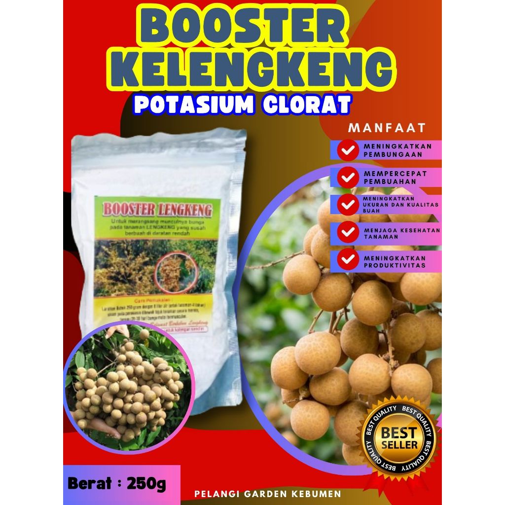 BEST SELLER  Boster Kelengkeng Berbuah, Boster Kelengkeng Berbunga, Boster Kelengkeng Cepat Berbuah