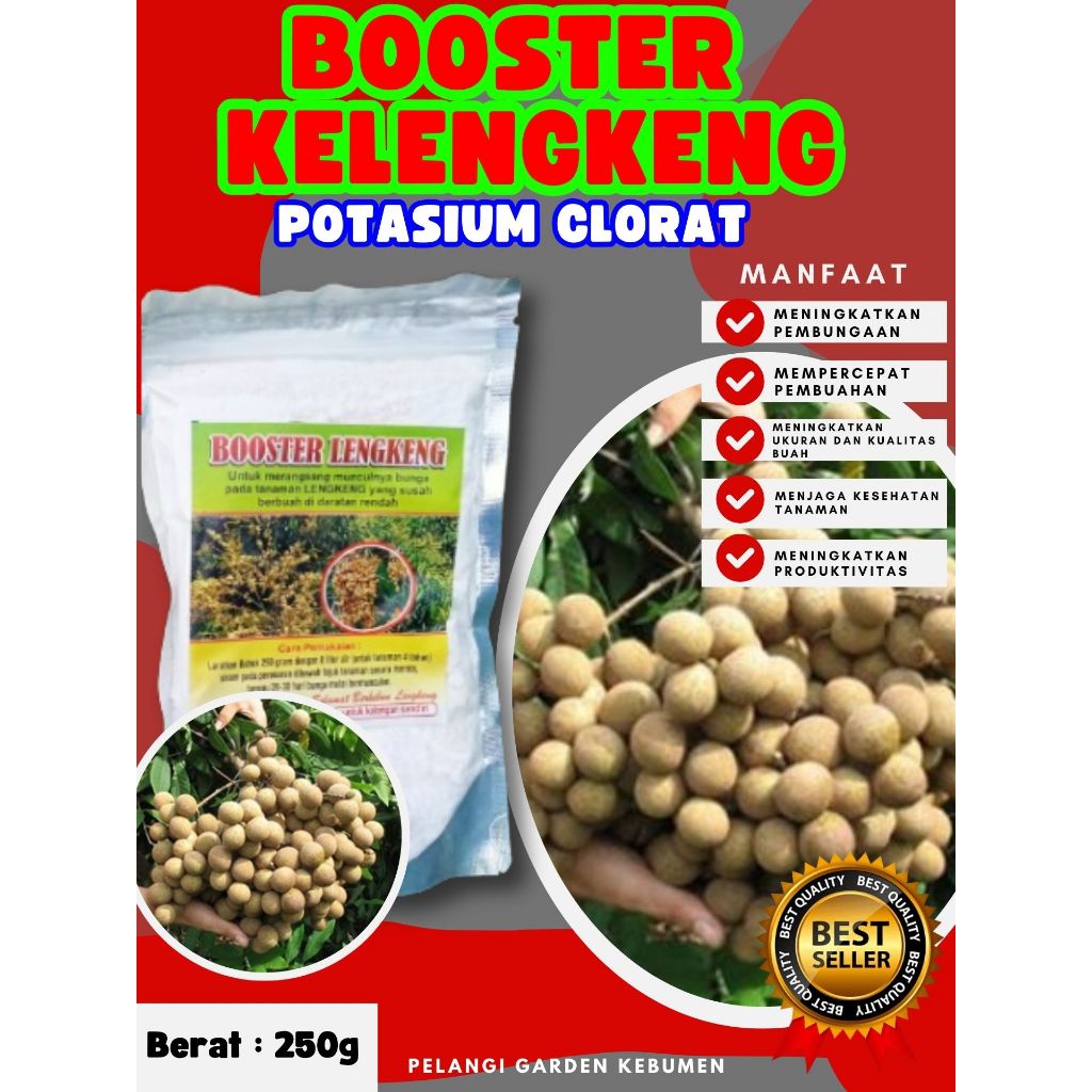 PALING LARIS  Booster Kelengkeng Potasium