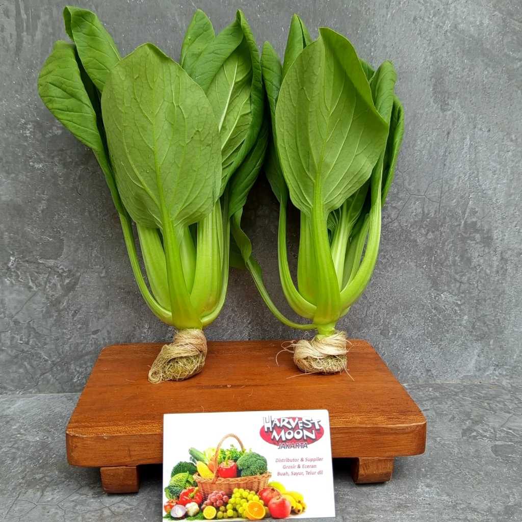 

HarvestMoon Hidroponik Pakchoy @250gr