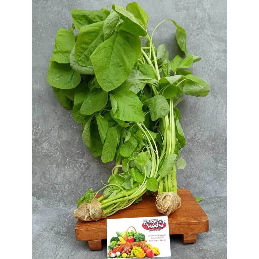 

HarvestMoon Hidroponik Bayam Hijau @250gr
