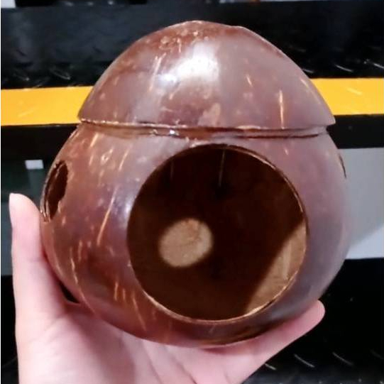 GLODOK BURUNG MURAI LOVE BIRD KENARI SARANG TELUR BATOK KELAPA / Glodok Burung Lovebird